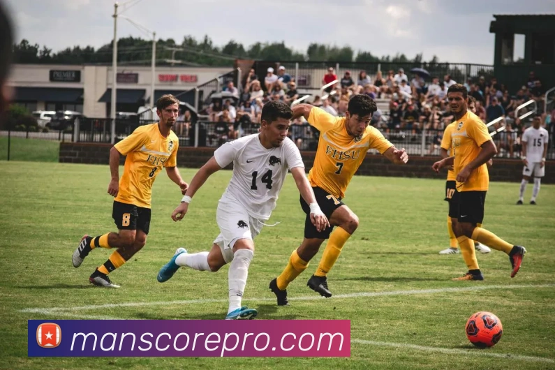 多媒体互动体验